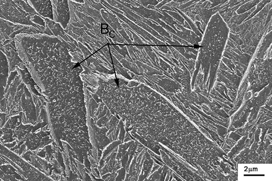 Coalesced Bainite IIW Doc. IX-2187-06 A micrograph showing coalesced bainite in an as-deposited last bead is presented in Figure 8. The micrograph was recorded in a weld metal containing 0.08C, 10.