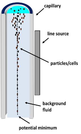 The force field is two dimensional in the cross section of the capillary, forcing the particles into a single-file line.