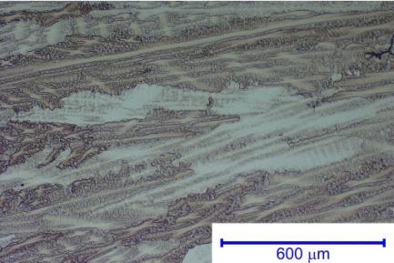 Metallographic sample for documentation of microstructure was made from the transversal section.