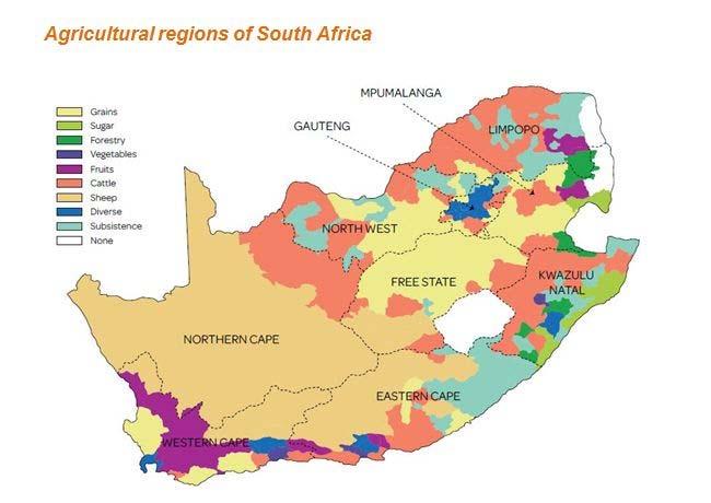 SOME FACTS ON AGRICULTURE IN SA Only 12% of land mass considered arable Only 1.