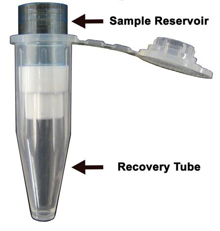 8. Apply 0.5 ml of the dissolved lentivirus solution to the sample reservoir of the Centrifugal Concentrator. Cap the concentrator and place into a tabletop centrifuge (Microfuge).
