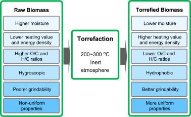 Background Biomass and torrefaction Torrefaction process