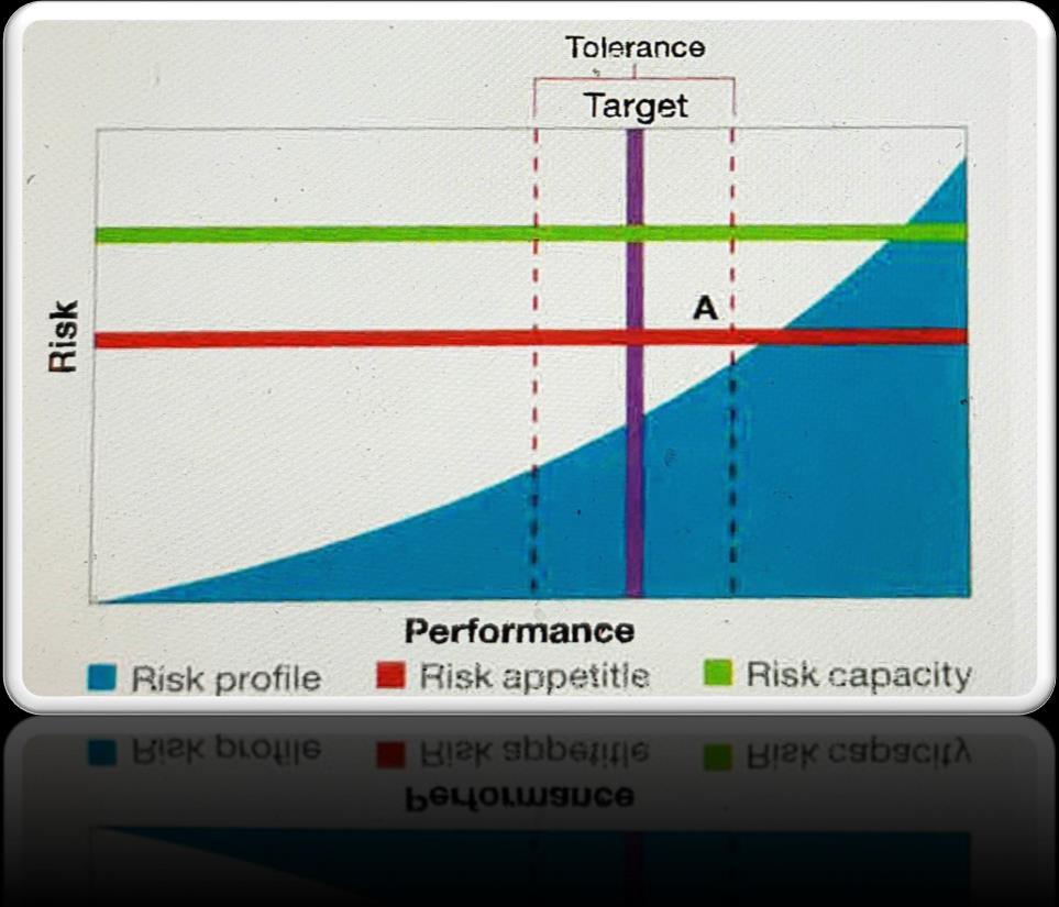 Risk Portfolio View Tolerance is the boundaries of acceptable variation in performance related to achieving business objectives.