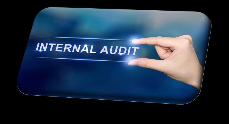 Auditing Tolerance Internal audit and other assurance function should enhance all audit programs and tools in order to be able to assess the compliance with performance tolerance and