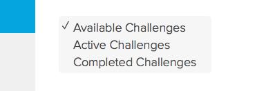 Peer Challenge: These are challenges initiated by a program member who has invited other members to join their challenge.