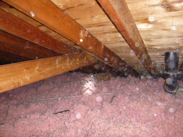 This is a condition conducive for mold and wood destroying insects and organisms due to increased moisture levels in the attic from the hot steamy exhaust air.