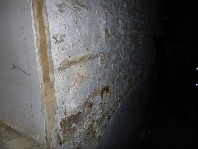 FOUNDATION & STRUCTURE Foundation walls: 1. The paint is flaking in spots and shows minor signs of mildew. Brush away the paint and apply concrete/masonry sealer. 2. Efflorescence was noted.