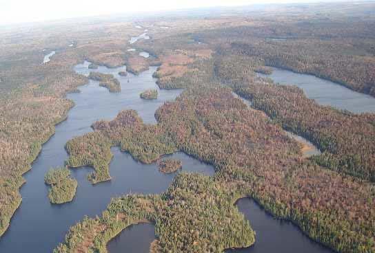 Beaver Dams will Have Larger Impact on Watersheds with