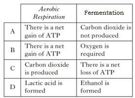 5. Which line in the table describes correctly both aerobic respiration and fermentation in human muscle tissue? 6. The diagram shows energy transfer within a cell.