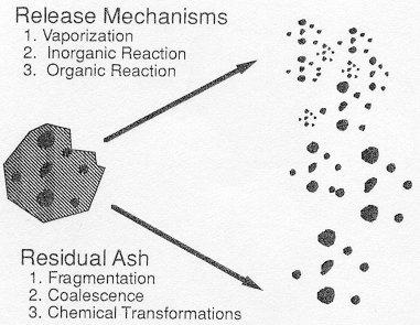 The fate of biomass ash