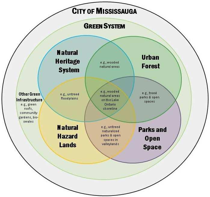 Figure 1 conceptually illustrates the interrelatedness of the Natural Heritage System and the urban forest, as well as their overlap with other components of the City s Green System, and the central