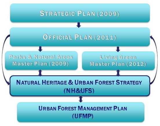 Strategy Development This Strategy has been developed based on: a critical review of all the relevant data, mapping, legislation, policies, plans and guidelines a review of the City s relevant