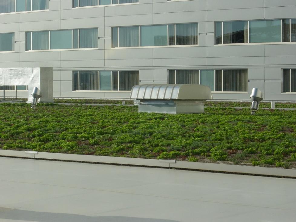 Vegetative Roof Systems Codes Use requirements in IBC, Section 104.