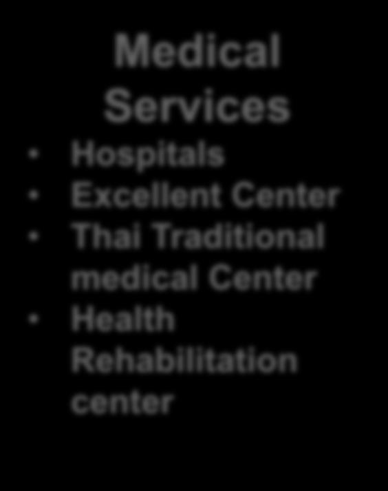Hospitals Excellent Center Thai Traditional medical Center