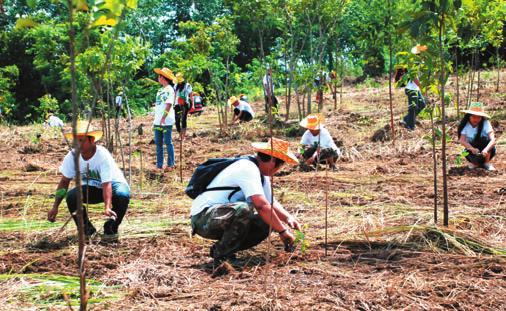 In FY 2014, employees participated in the King of Thailand s tree planting project, where 400 trees were planted over an 8,000 m 2 area in a national park in Rayong Province.