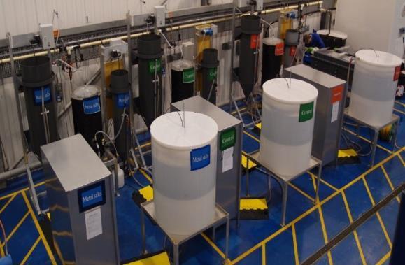 Sludge production at Cranfield University, UK Real world Aged sewage