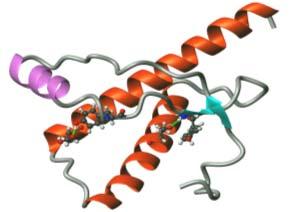 Inside the cell/ organisms 13 Gene DNA gene DNA