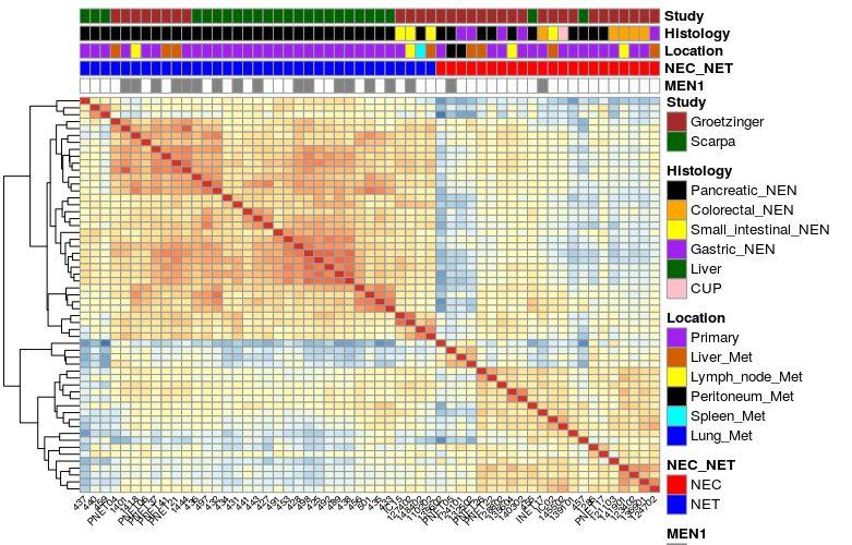 Visualization - Correlation heatmap Pairwise-similarity of samples Clustering informative Bad: clustering