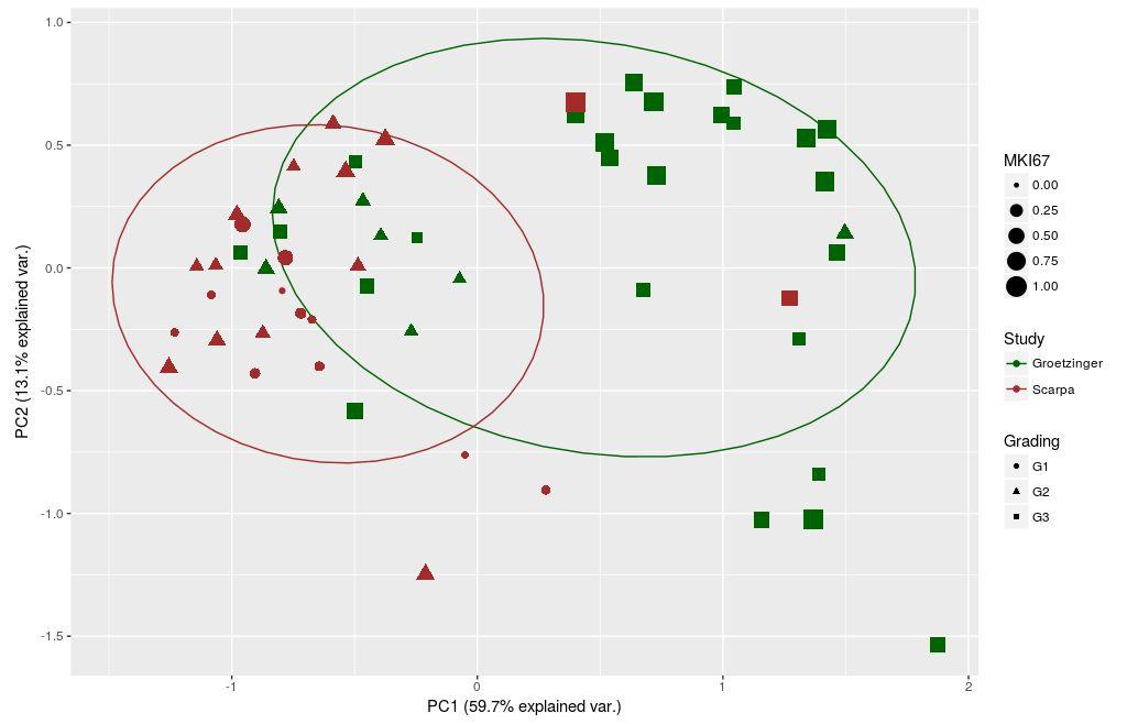 Principal component analysis (PCA) Two-dimensional similarity of samples Clustering
