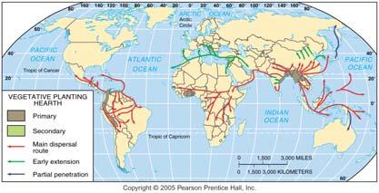 27 28 Location of First Vegetative Planting Sauer believed that vegetative planting probably originated in SE Asia because the region s diversity of climate and topography encouraged plants suitable