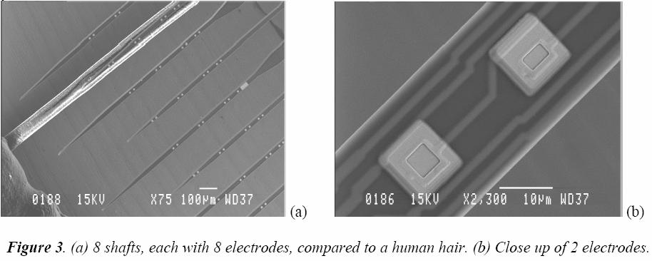 Neural Recording Microelectrodes Reference : http://www.acreo.