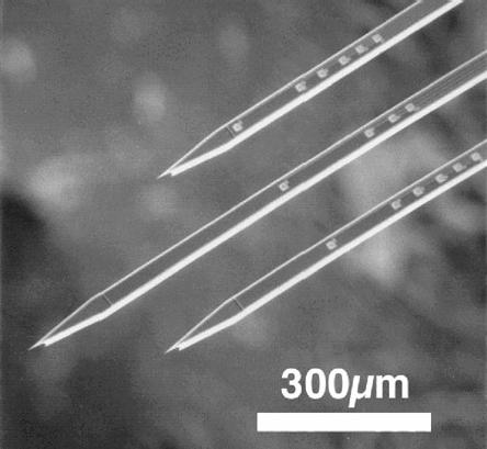 Micro/Nano applied to BME Micromachined silicon neural probe arrays Michigan Probe