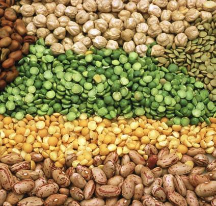 FOR THE FIRST TIME IN THE WORLD LEGUMES (BEAN, CHICKPEA, SOYBEAN, BROAD BEAN, LENTIL) REZFREE should be