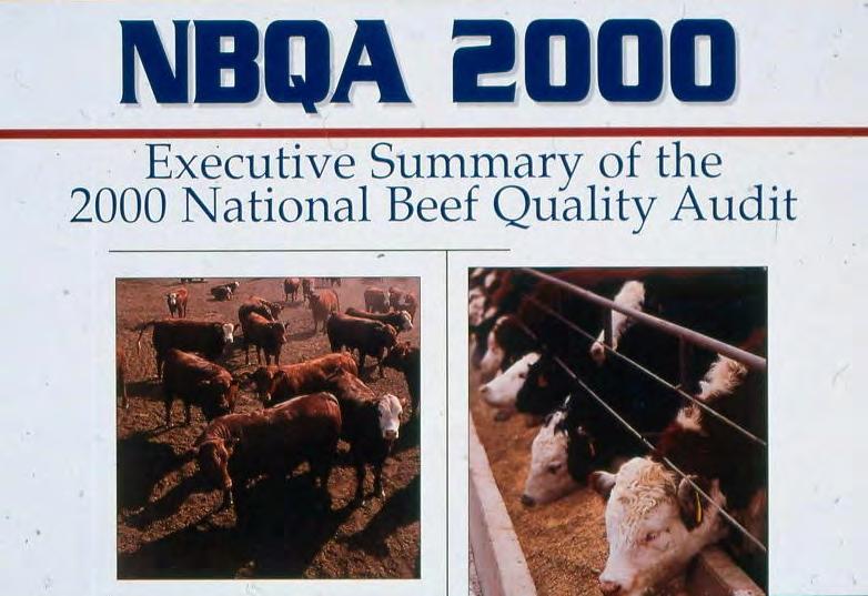Executive Summary: The 2011 National Beef