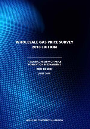 IGU Publications 218 218 World LNG Report Whole Gas Price Survey, 218 Edition Case study in Improving Urban Air Quality Third Edition, March 218 Best Practices in