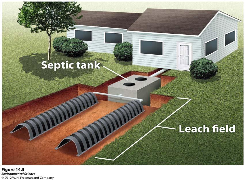 Treatments for Human and Animal Wastewater Septic systems-