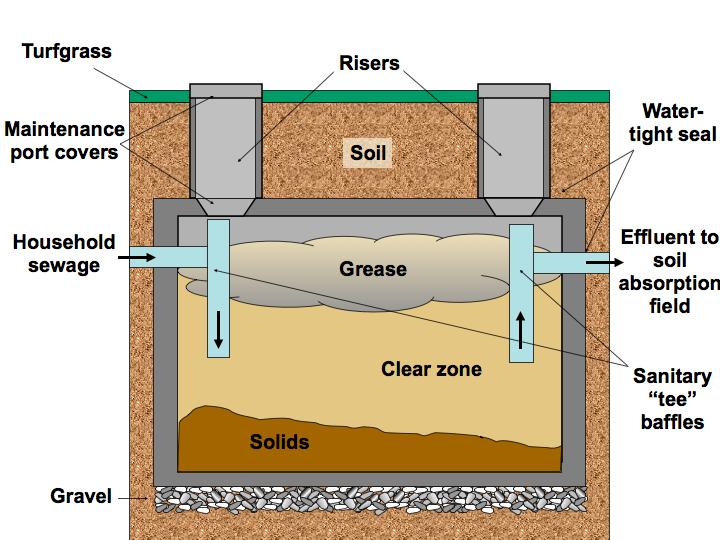 Figure 1. A cross-section view of a septic tank. Dense organic matter sinks while lighter wastewater components (grease and fats) float.