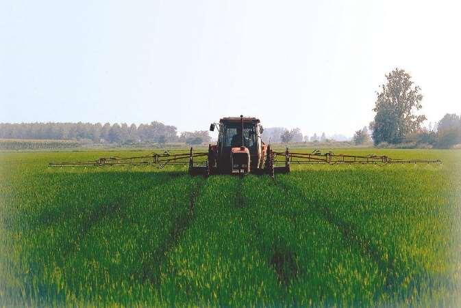 ORGANIC RICE PRODUCTION SYSTEMS (ORP) In 2014, the rice area dedicated to organic rice was 9,528 ha