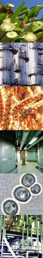 Our key competences white biotechnology Engineering and construction of bioprocess plants for the sugar and starch processing and the food industries.