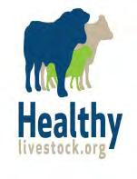 The Healthy Livestock Initiative 168 vets from 78 South West veterinary practices attended Johnes training at their own expense 1757 dairy farmers and 564 beef farmers attended Johnes engagement