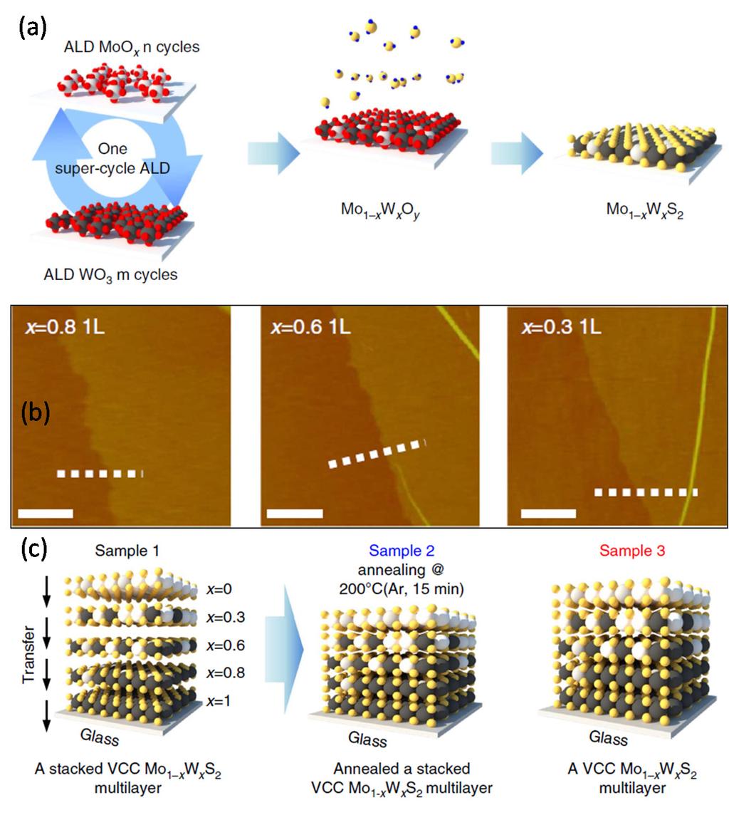 Electronics 2015, 4 1048 and are very promising for efficient photodetector applications.