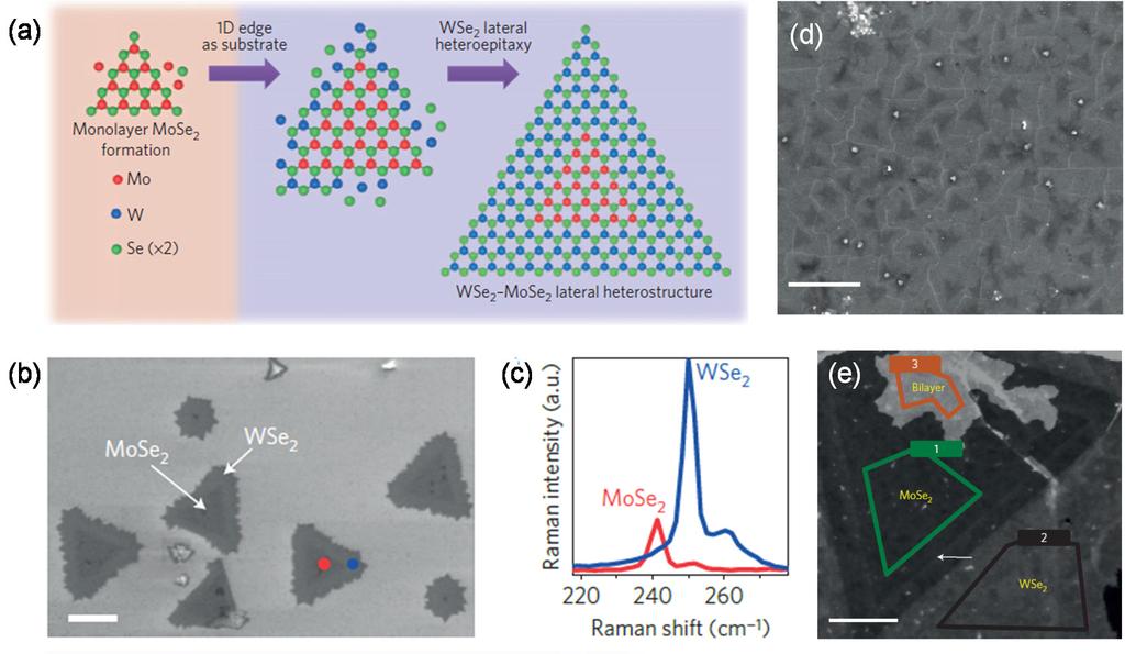 Electronics 2015, 4 1052 Figure 19. PVD growth of in-plane WSe2/MoSe2 heterostructures.