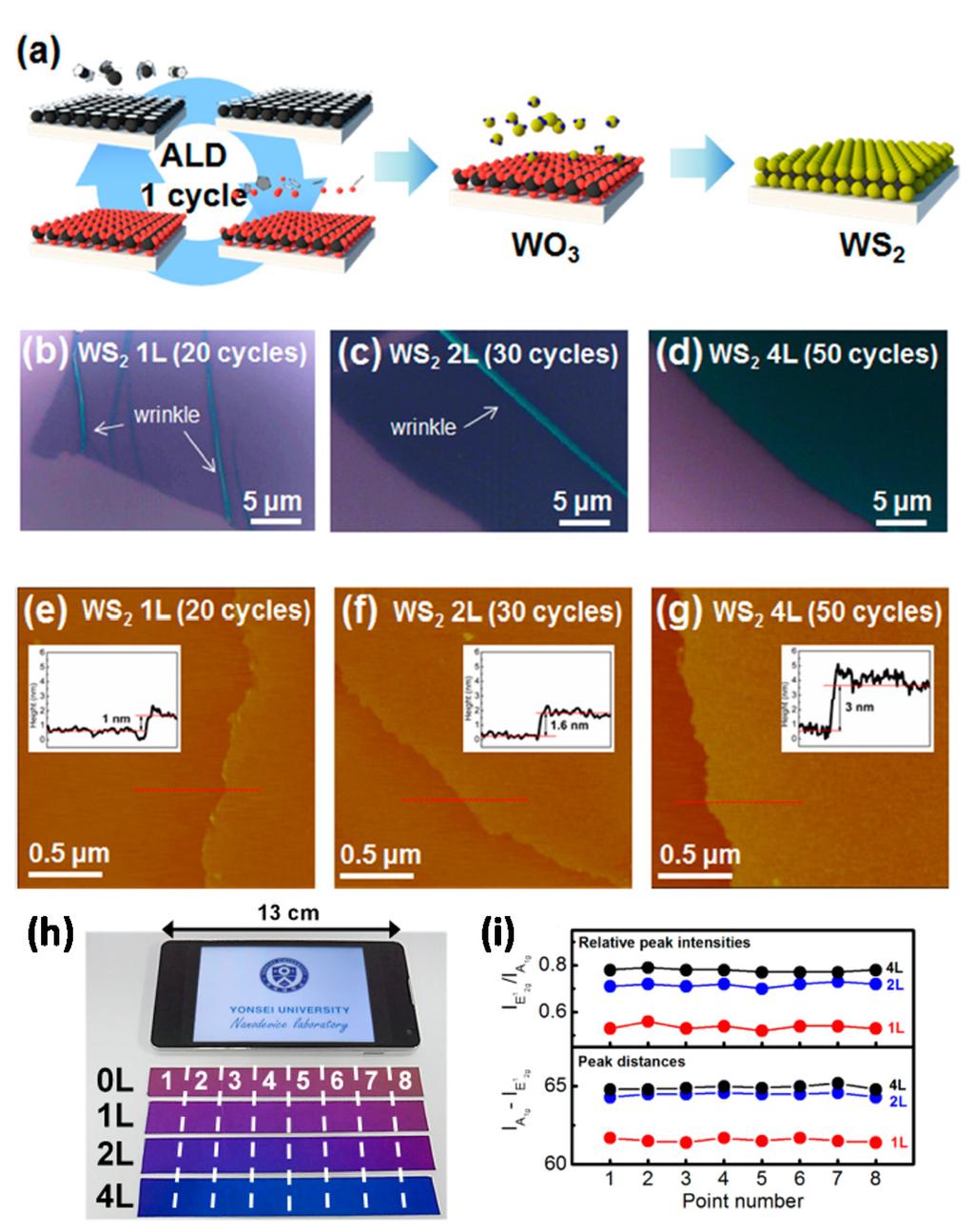 Electronics 2015, 4 1039 Figure 5. Atomic layer deposition (ALD)-based layer-controlled CVD growth of WS2 films with precursors.