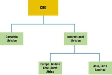 International Division All international activities are centralized within one division in the firm, separate from domestic units Associated with increased focus on international business
