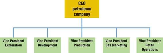 Functional Structure Management of international operations is organized by functional activity For example, oil companies tend to organize their worldwide operations along two major functional