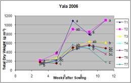 Seasonal pattern of total dry matter accumulation of rice plants (figure 2-b) as affected by the different water treatments was similar in yala 2007, with a definite upward trend at the harvesting