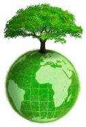 Environmental friendly materials and reclying improvements