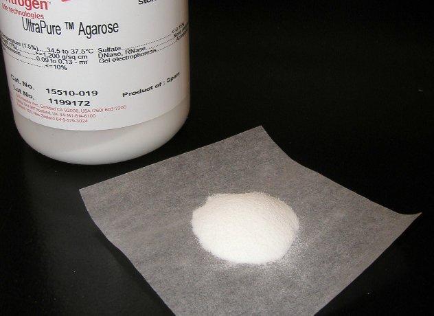 Agarose D-galactose 3,6-anhydro L-galactose Sweetened agarose gels have