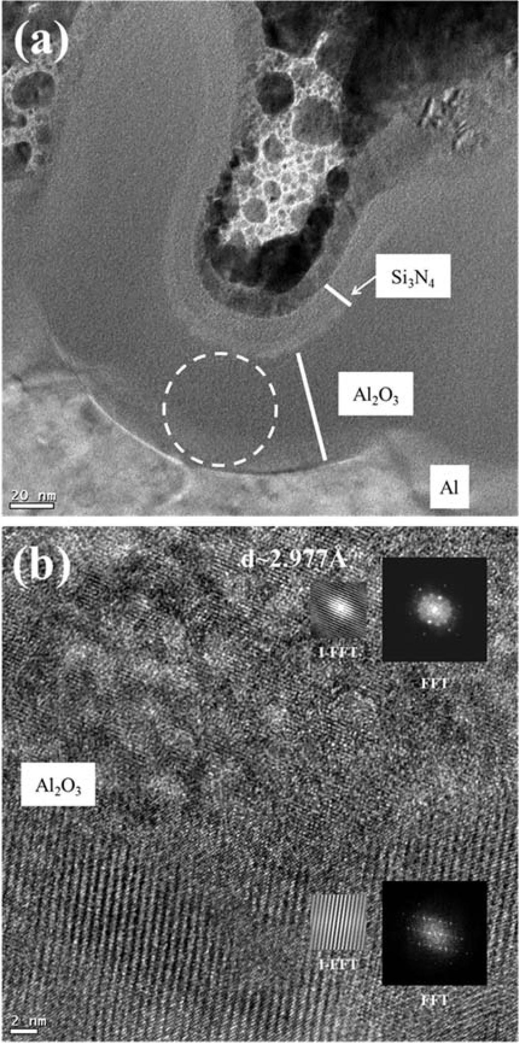 Structural and electrochemical properties of anodic aluminum oxide based electrolyte-insulator-metal... 391 Fig. 5.