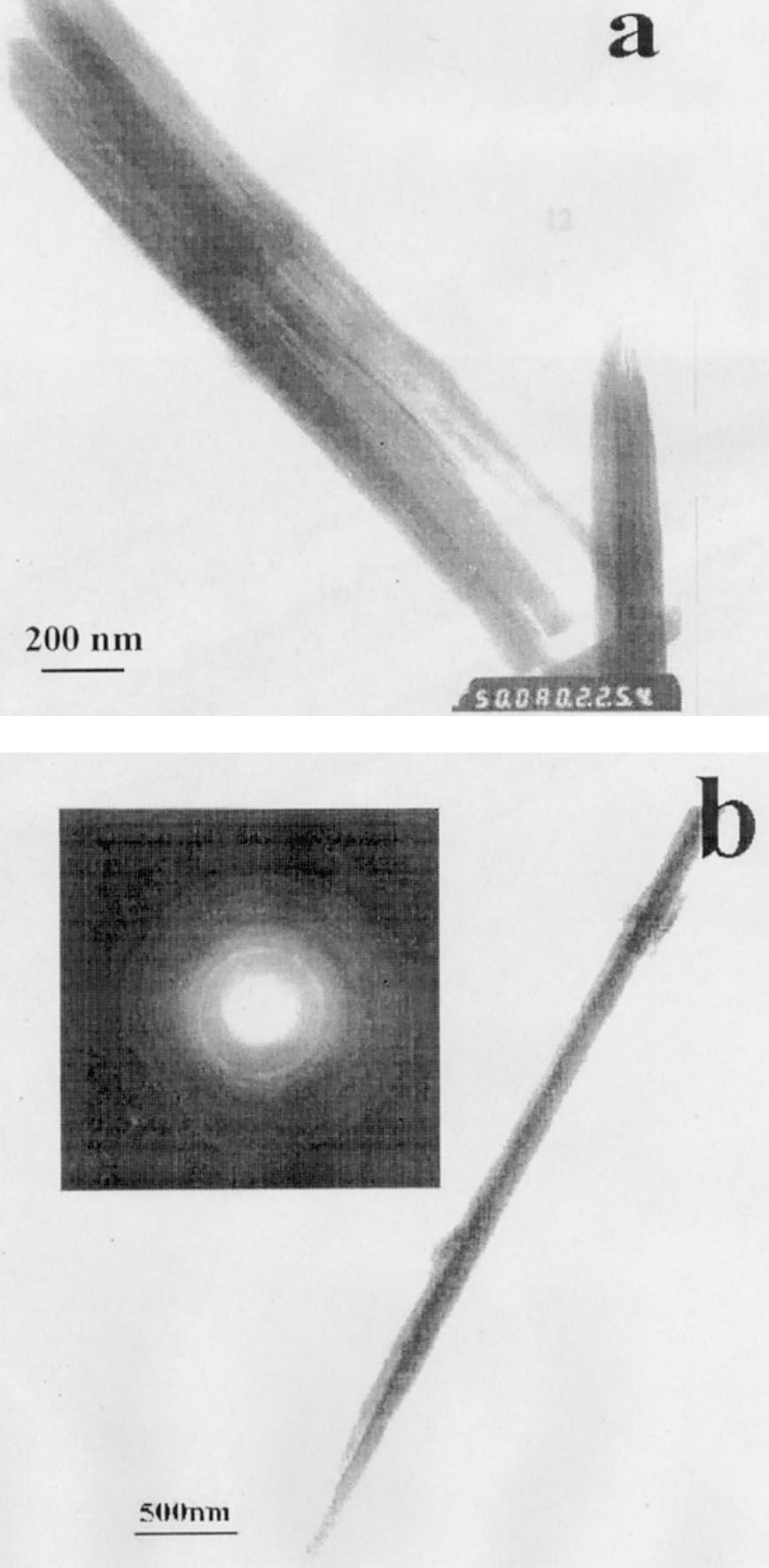C.-m. Shen et al. / Materials Science and Engineering A303 (2001) 19 23 21 3.2. SEM and TEM image Fig. 2. Change in current density during potentiostatic electrodeposition at 0.70 V vs.