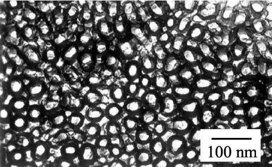 With further prolonging the immersed time in the phosphoric acid solution, wheel-like voids can be observed in the tube walls of the isolated ANTs (see Fig. 2(d)).