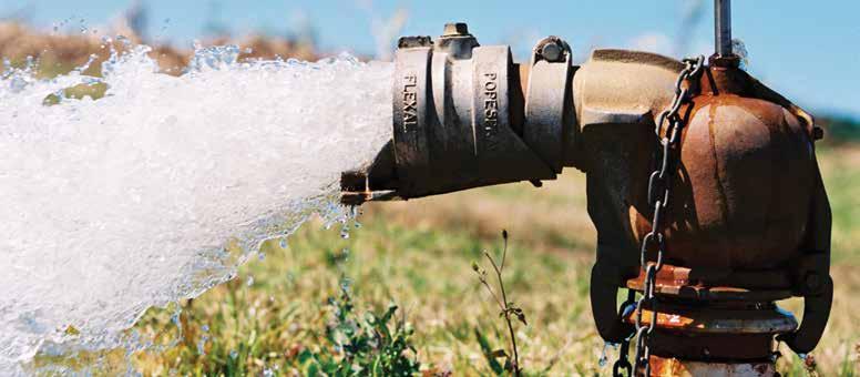 03 Efficient pumps: keeping your costs down Marian Davis Development Officer Irrigation Professional Extension and Communication Unit As irrigation commences on plant and ratoon cane, it is a good