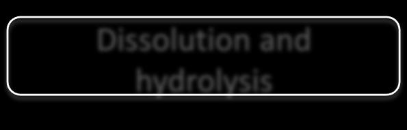 hydrolysis Cellulose