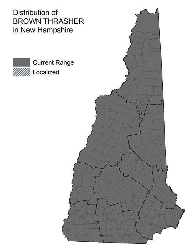 NH Wildlife Action Plan Habitats Shrublands Pine Barrens Distribution Map Current Species and Habitat Condition in New Hampshire Significant population declines and limited range retraction (see