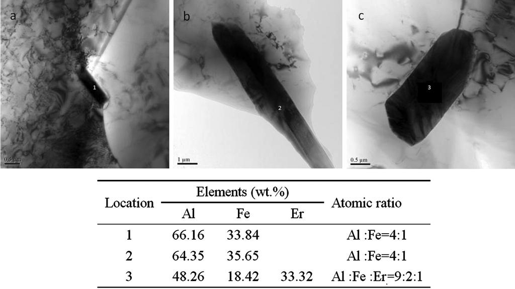 might form during the homogenization treatment and the possible effects of Er on the precipitation, TEM observation was conducted on samples annealed at 560ºC for 30 h with furnace cooling for the