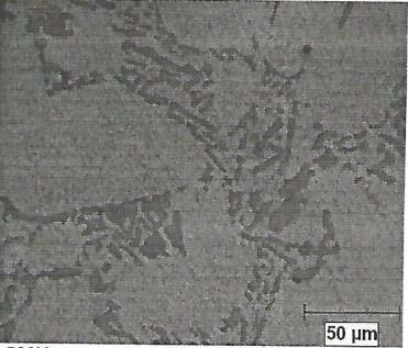 (a) (b) (c) (d) (e) Figure 4. Optical micrographs of C355.